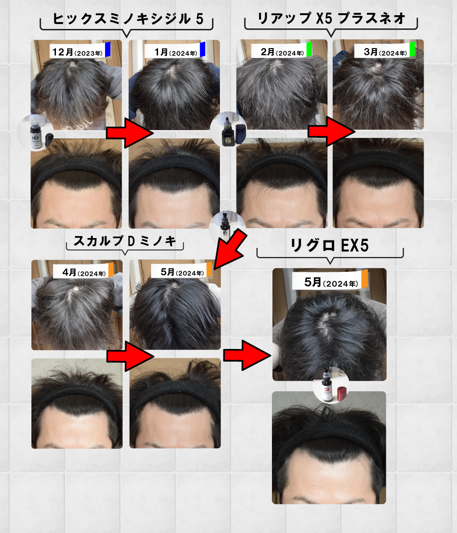 活動歴および当時の関連ビジュアル記録