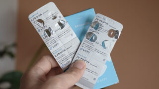 【レバクリの口コミ・評判】月1,650円（税込）のプランを実際に利用して分かった！本当のメリットとデメリットを徹底解説！ 