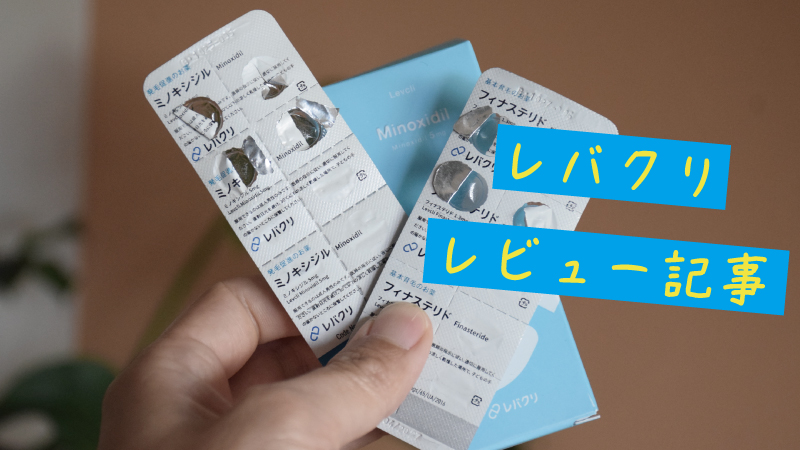 【レバクリの口コミ・評判】口コミ・評判をチェック！料金や特徴を実際に購入した内容をもとに解説！